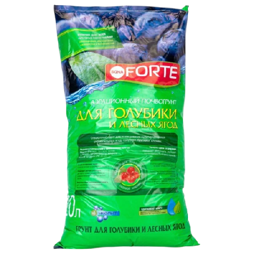 image-Photoroom (37)-Photoroom (55)