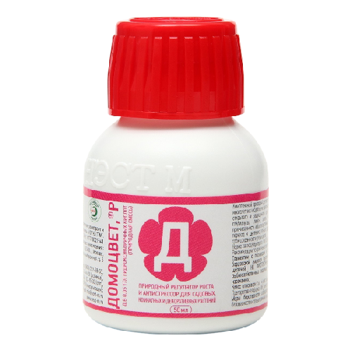 image-Photoroom (37)-Photoroom (15) — копия