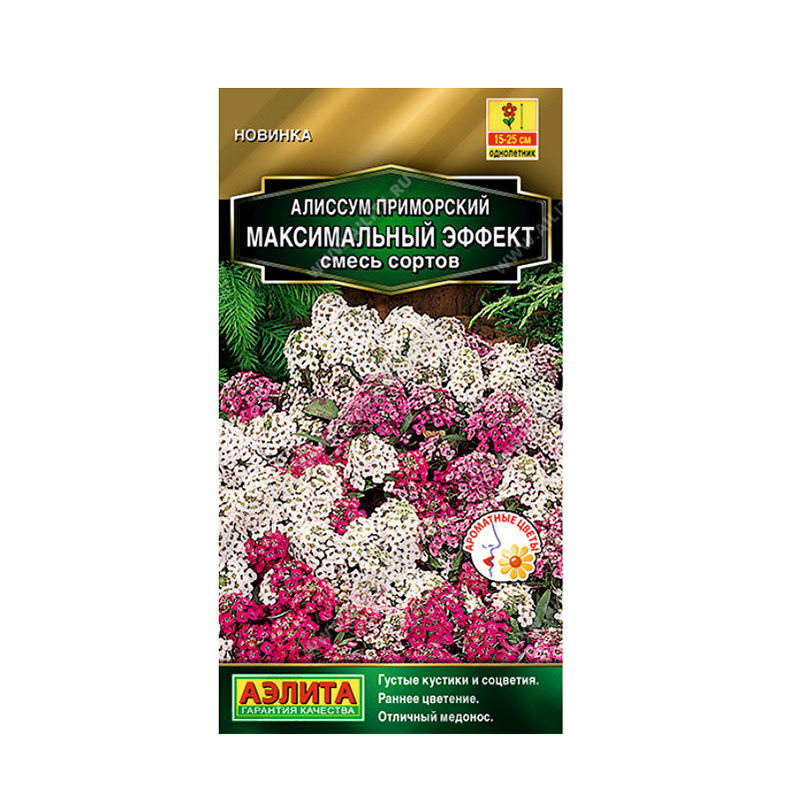 Алиссиум макс эфф