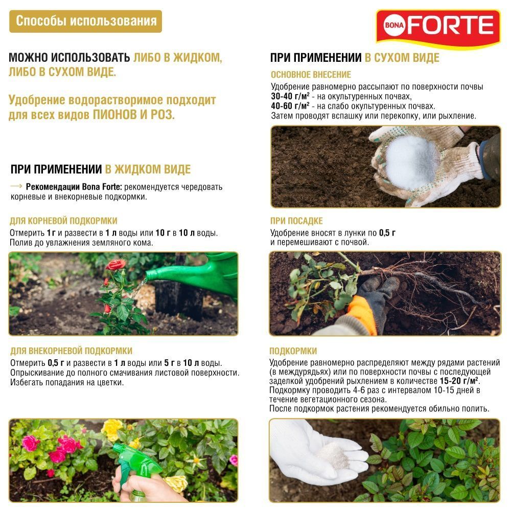 full_rozy_vodorast_sposob-min