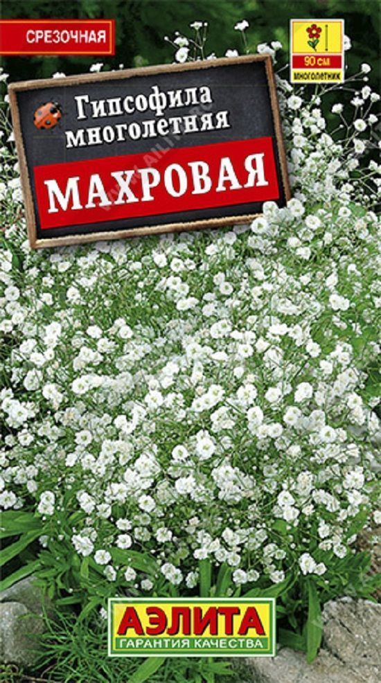 Нет